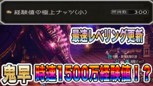 【オクトパストラベラー大陸の覇者】最速レベリング更新！時速1500万経験値！！おまけで名声上級も！（名声中級最速動画）