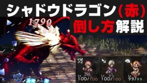 【オクトラ大陸の覇者】シャドウドラゴン(赤)を無凸PTで解説攻略 / 1回倒したい方向けの麻痺・睡眠有り【オクトパストラベラー大陸の覇者検証】