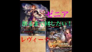 オクトラ大陸　ゼニア＆レヴィーナを狙ったらとんでもない事になった