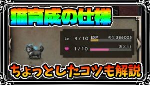 新たに登場した支炎獣!! 猫育成コンテンツの仕様をまるっと解説!! 地味に役立つテクニックもあります!!【オクトパストラベラー 大陸の覇者】