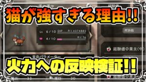 猫を育てるべき理由!! ダメージ検証の結果,猫がめちゃくちゃ強いことが分かったので,その結果とどのステータスを伸ばすべきかをまとめました 【オクトパストラベラー 大陸の覇者】