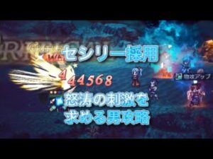 オクトラ大陸の覇者　ver3.8.1 レベル120NPC 怒涛の刺激を求める男　8ターン　OCTOPATH TRAVELER CHAMPIONS OF THE CONTINENT